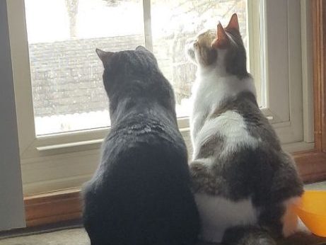 This image has an empty alt attribute; its file name is trinity4-461x1024.jpg